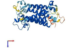 SRD5A3 Protein (AA 1-330) (His tag)