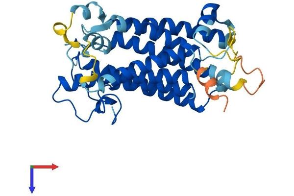 SRD5A3 Protein (AA 1-330) (His tag)