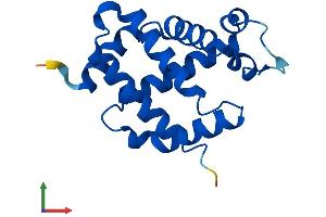 Protein Structure (PS) image for Neuroglobin (NGB) (AA 1-151) protein (His tag) (ABIN7549852)