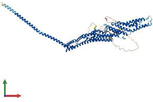 Protein Structure (PS) image for Exocyst Complex Component 7 (EXOC7) (AA 1-735) protein (His tag) (ABIN7553838)