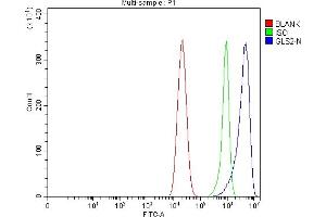 Flow Cytometry analysis of Caco-2 cells using anti-GLS2 antibody (ABIN7599493).