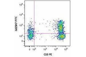 Flow Cytometry (FACS) image for anti-Chemokine (C-X-C Motif) Receptor 3 (CXCR3) antibody (FITC) (ABIN2661545) (CXCR3 Antikörper  (FITC))