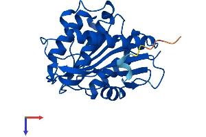 LYPLA2 Protein (AA 1-231) (His tag)