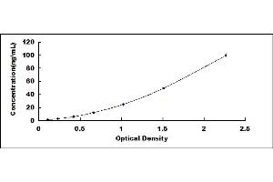 Typical standard curve (HSD17B1 ELISA Kit)