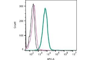 anti-Neuropilin (NRP) and Tolloid (TLL)-Like 2 (NETO2) (AA 189-202), (Extracellular) antibody