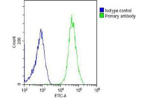 Overlay histogram showing U-2OS cells stained with (ABIN655755 and ABIN2845199) (green line). (ZC3H18 Antikörper  (N-Term))