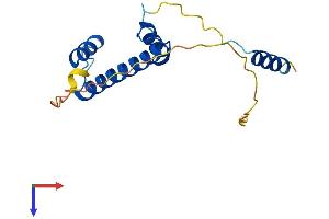 TAF12 Protein (AA 1-161) (His tag)