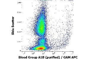 Flow cytometry surface staining pattern of human peripheral whole blood stained using anti-human Blood Grou A1B (HE-24) purified antibody(concentration in sample 3,3 μg/mL, GAM APC). (Blood Group A1B Antikörper)