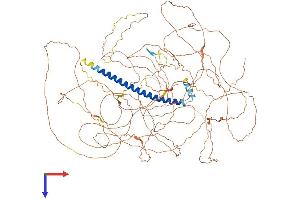 TSC22D1 Protein (AA 1-1077) (His tag)