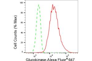 Flow cytometric analysis of Glucokinase expression in HepG2 cells using Glucokinase antibody (ABIN7798729), 1:2,000). (Rekombinanter GCK Antikörper)