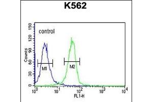 EFR3A Antibody (C-term) (ABIN651173 and ABIN2840110) flow cytometric analysis of K562 cells (right histogram) compared to a negative control cell (left histogram). (EFR3A Antikörper  (C-Term))