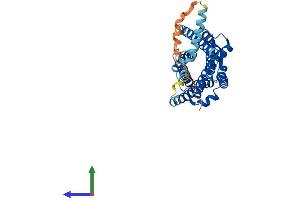 Protein Structure (PS) image for Chemokine (C-C Motif) Receptor 8 (CCR8) (AA 1-355) protein (His tag) (ABIN7553213)