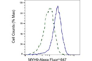 Flow cytometric analysis of MYH9 expression in HepG2 cells using MYH9 antibody (ABIN7799520), 1:1,000).