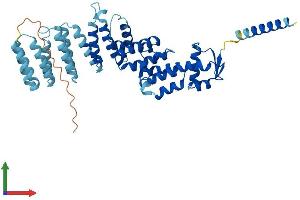 Protein Structure (PS) image for COP9 Constitutive Photomorphogenic Homolog Subunit 2 (Arabidopsis) (COPS2) (AA 1-443) protein (His tag) (ABIN7563492)