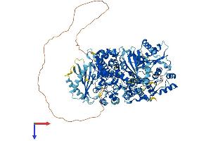 OAS3 Protein (AA 1-1138) (His tag)