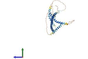 Protein Structure (PS) image for G Kinase Anchoring Protein 1 (GKAP1) (AA 1-366) protein (His tag) (ABIN7561701)