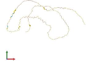 Protein Structure (PS) image for serine/arginine-Rich Splicing Factor 12 (SRSF12) (AA 1-266) protein (His tag) (ABIN7559198)
