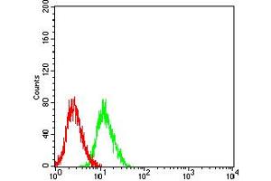 Flow Cytometry (FACS) image for anti-Glutamate Receptor, Ionotropic, N-Methyl D-Aspartate 3B (GRIN3B) (AA 135-276) antibody (ABIN5611281)