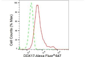 Flow cytometric analysis of DDX17 expression in HeLa cells using DDX17 antibody (ABIN7798284), 1:2,000).