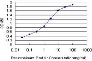 Detection limit for recombinant GST tagged HEY1 is approximately 0. (HEY1 Antikörper  (AA 121-220))