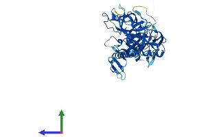 Protein Structure (PS) image for Transmembrane Protease, serine 4 (TMPRSS4) (AA 1-437) protein (His tag) (ABIN7544423)