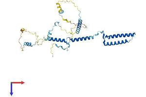 AlphaFold protein structure predicition of Human Recombinant ENKD1 Protein, UniprotID Q9H0I2
