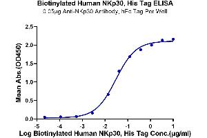 ELISA image for Natural Cytotoxicity Triggering Receptor 3 (NCR3) (AA 19-138) protein (His-Avi Tag,Biotin) (ABIN7275354)