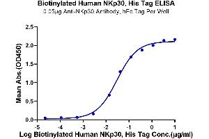 Immobilized Anti-NKp30 Antibody, hFc Tag at 0. (NCR3 Protein (AA 19-138) (His-Avi Tag,Biotin))