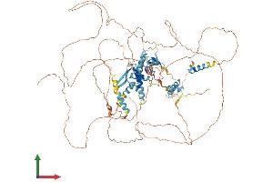 Protein Structure (PS) image for E2F Transcription Factor 8 (E2F8) (AA 1-867) protein (His tag) (ABIN7553765)