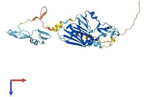 ITGB1BP2 Protein (AA 1-347) (His tag)