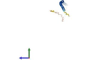 Protein Structure (PS) image for Pallidin Homolog (PLDN) (AA 1-172) protein (His tag) (ABIN7552670)