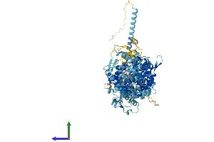 Protein Structure (PS) image for Ubiquitin Protein Ligase E3C (UBE3C) (AA 1-1083) protein (His tag) (ABIN7555877)