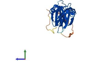 Protein Structure (PS) image for Crystallin, beta B3 (CRYbB3) (AA 1-211) protein (His tag) (ABIN7561607)