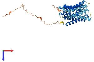 SLC35E4 Protein (AA 1-350) (His tag)