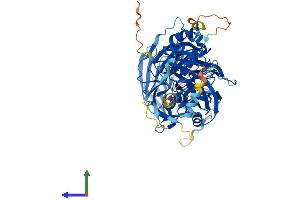 Protein Structure (PS) image for WD Repeat Domain 48 (WDR48) (AA 1-677) protein (His tag) (ABIN7556019)