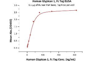 ELISA image for Glypican 1 (GPC1) (AA 24-530) (Active) protein (Fc Tag) (ABIN6938876)