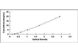 Typical standard curve (COL5A2 ELISA Kit)