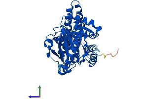 Protein Structure (PS) image for 1-Acylglycerol-3-Phosphate O-Acyltransferase 3 (AGPAT3) (AA 1-376) protein (His tag) (ABIN7554946)