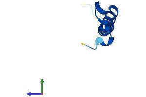 Protein Structure (PS) image for Translocase of Outer Mitochondrial Membrane 7 Homolog (TOMM7) (AA 1-55) protein (Fc Tag) (ABIN7544502)