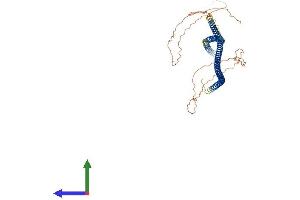 AlphaFold protein structure predicition of Mouse Recombinant Krt73 Protein, UniprotID Q6NXH9