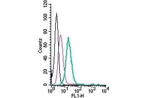 Cell surface detection of MERTK by direct flow cytometry in live intact mouse  microglia cells: + Rabbit IgG Isotype Control-FITC (ABIN7582044). (MERTK Antikörper  (Extracellular) (FITC))