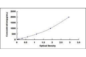 ELISA image for Glial Cell Line Derived Neurotrophic Factor (GDNF) ELISA Kit (ABIN415595)