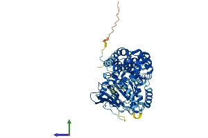 AlphaFold protein structure predicition of Human Recombinant EHD1 Protein, UniprotID Q9H4M9 (EHD1 Protein (AA 1-534) (His tag))