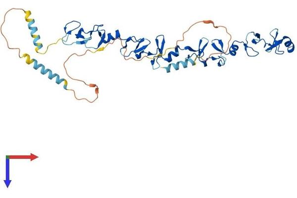 Leupaxin Protein (LPXN) (AA 1-386) (His tag)