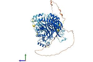 Protein Structure (PS) image for General Transcription Factor IIIC, Polypeptide 4 (GTF3C4) (AA 1-817) protein (His tag) (ABIN7564401)