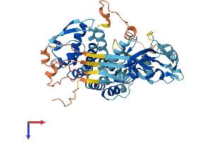 AlphaFold protein structure predicition of Mouse Recombinant Gsdmc3 Protein, UniprotID Q8CB12