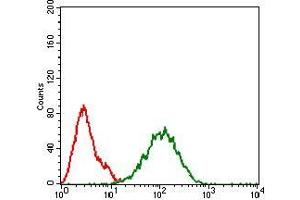 Flow cytometric analysis of Hela cells using IL3RA mouse mAb (green) and negative control (red). (IL3RA Antikörper  (AA 200-305))
