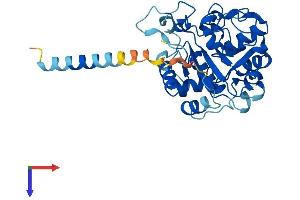 ST3GAL4 Protein (AA 1-333) (His tag)