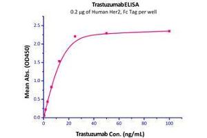 Immobilized Human Her2, Fc Tag (Cat# HE2-H5253) at 2 μg/mL (100 μl/well) can bind trastuzumab with a linear range of 0. (ErbB2/Her2 Protein (AA 23-652) (Fc Tag))