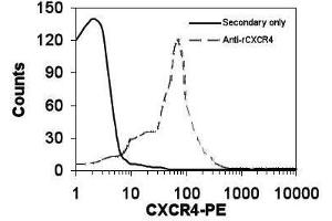 Image no. 1 for anti-Chemokine (C-X-C Motif) Receptor 4 (CXCR4) antibody (ABIN110595)